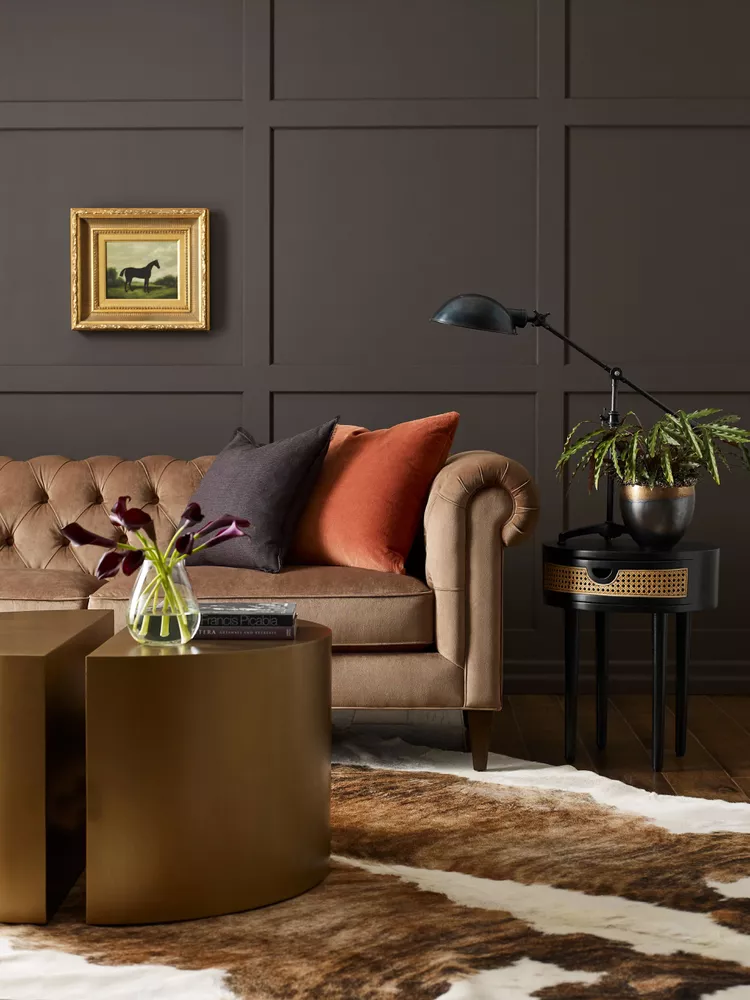 Sealskin by Sherwin-Williams