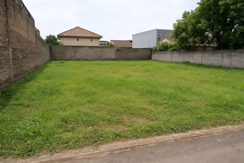 Cara Memanfaatkan Tanah Lahan Kosong Agar Lebih Produktif