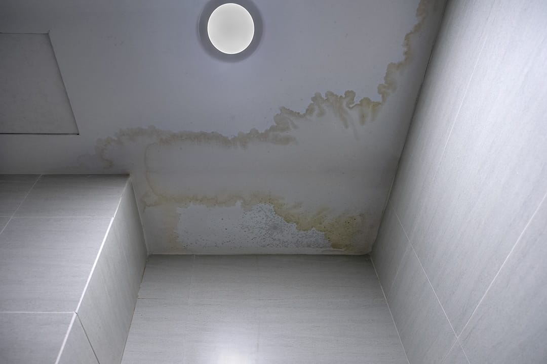 tips renovasi rumah